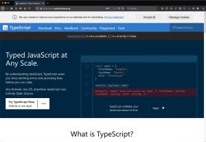 Installing Typescript via node, and start using it via VS Code (macOS)