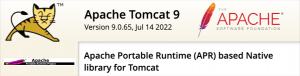 Installing the Apache Portable Runtime APR-based Native library for Tomcat