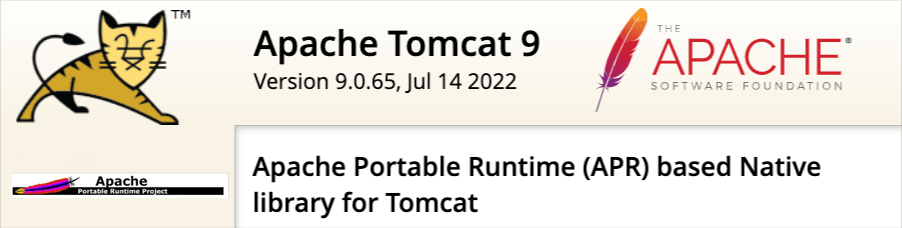 Installing the Apache Portable Runtime APR-based Native library for Tomcat Installing the Apache Portable Runtime APR-based Native library for Tomcat